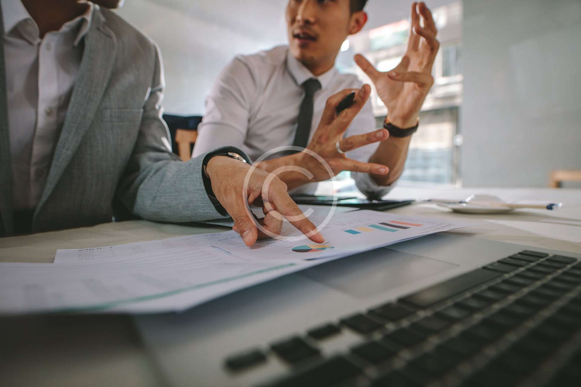 Tercümanlık Hizmeti